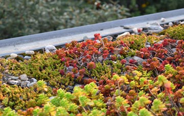 the cost of Five Ways green roof installation