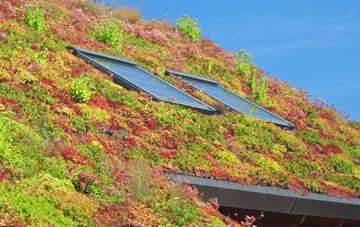 Five Ways living roof systems